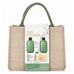 BAYLIS & HARDING Подарочный набор для тела Wellness Tote Bag Of Treats