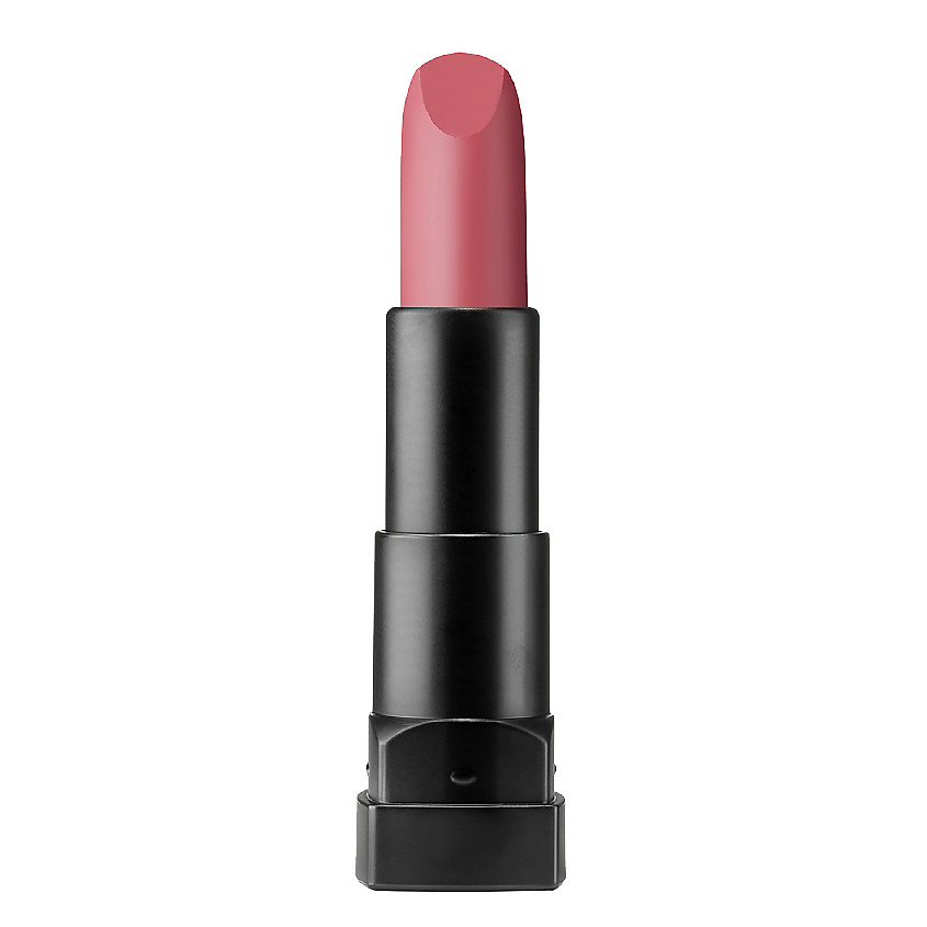 PASTEL Губная помада PROFASHION MATTE LIPSTICK, № 553, 4,3 г купить по ...