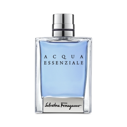 Мужская парфюмерия SALVATORE FERRAGAMO Acqua Essenziale 100