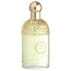 GUERLAIN Aqua Allegoria Tutti Kiwi