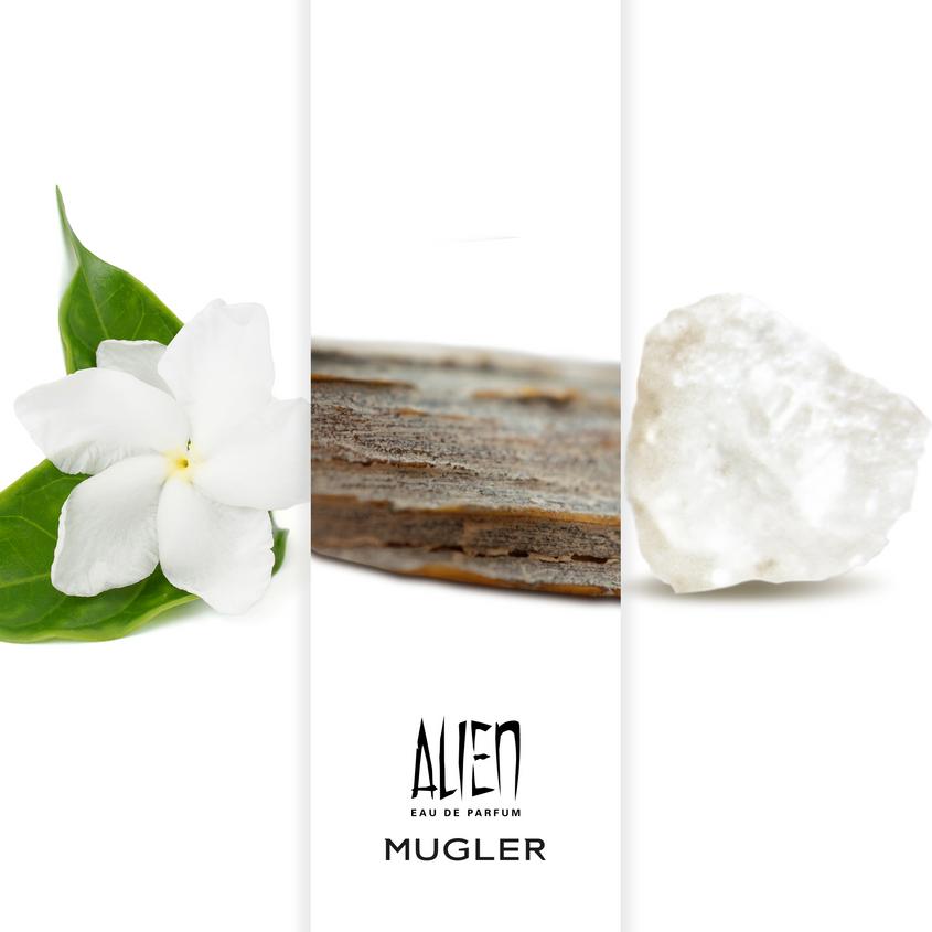 alien mugler parfum