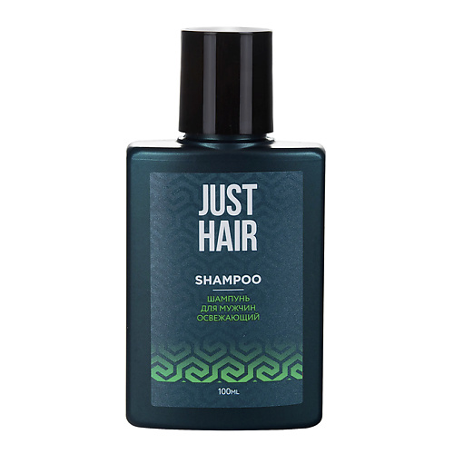 фото Just hair just hair шампунь для мужчин освежающий мини