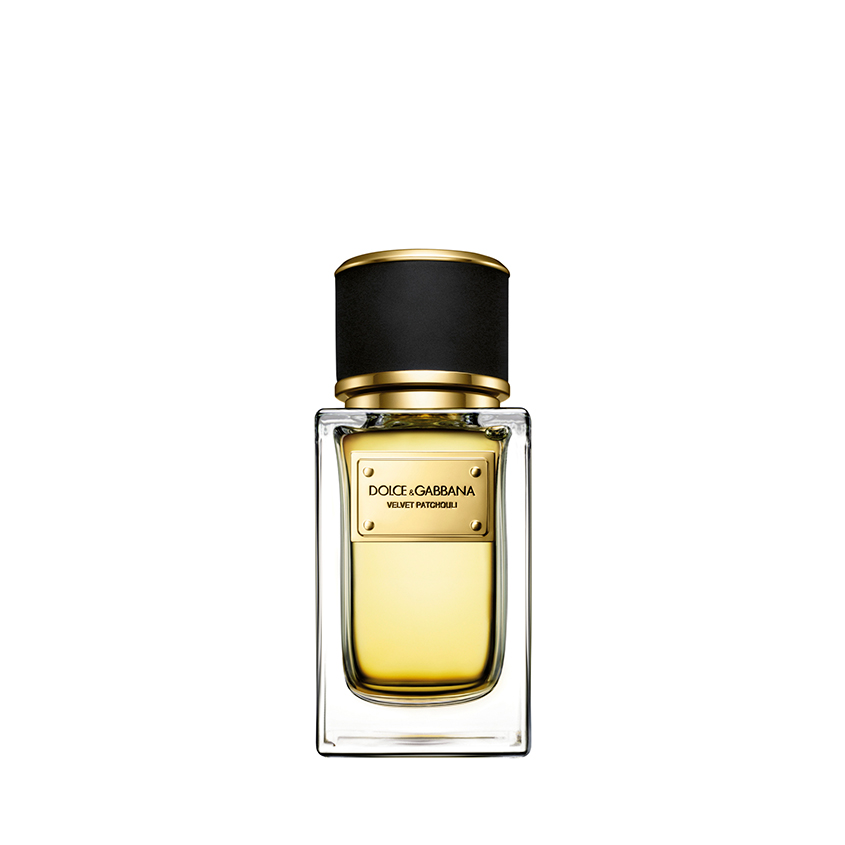 

DOLCE&GABBANA Velvet Collection Patchouli