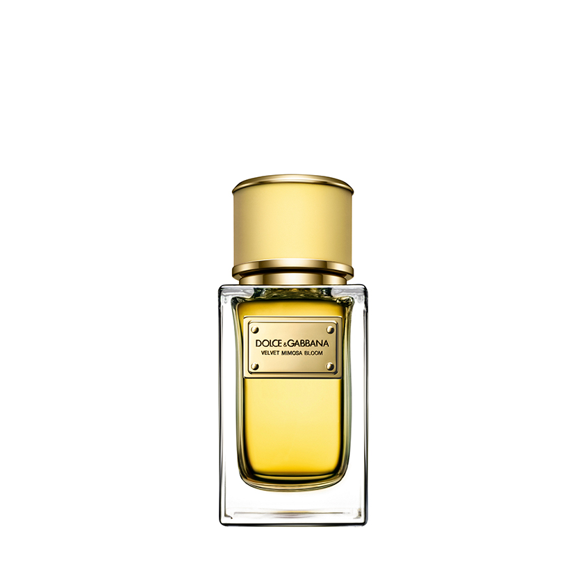 

DOLCE&GABBANA Velvet Collection Mimosa Bloom