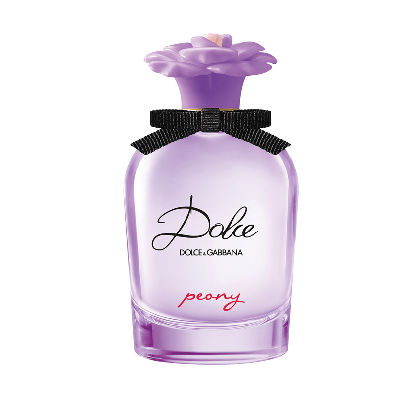 dolce gabbana 50 ml