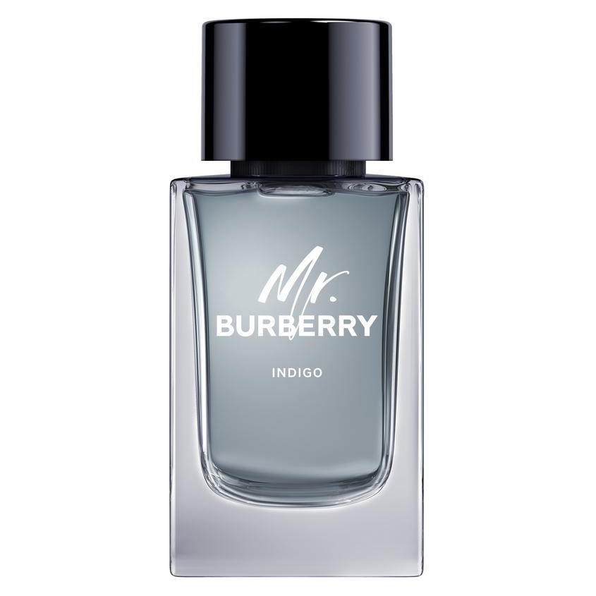 burberry mr burberry