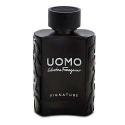 SALVATORE FERRAGAMO SALVATORE FERRAGAMO Uomo Signature Парфюмерная вода, спрей 100 мл