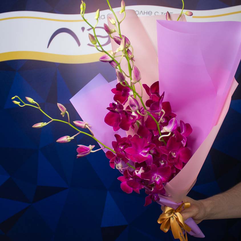 

LetuFlowers Пурпурная орхидея