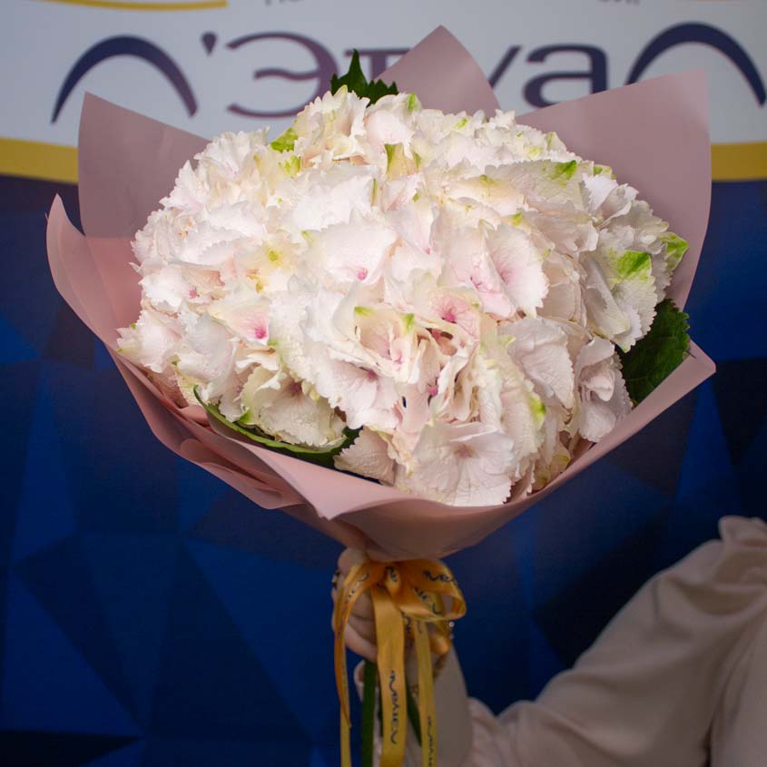 

LetuFlowers Нежность