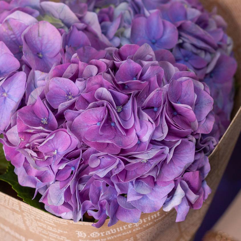 

LetuFlowers Ночные сны
