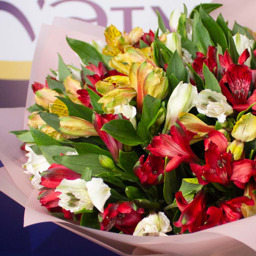 

LetuFlowers Фейерверк