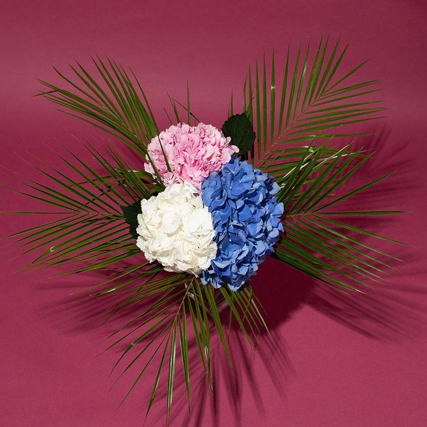 

LetuFlowers Трио