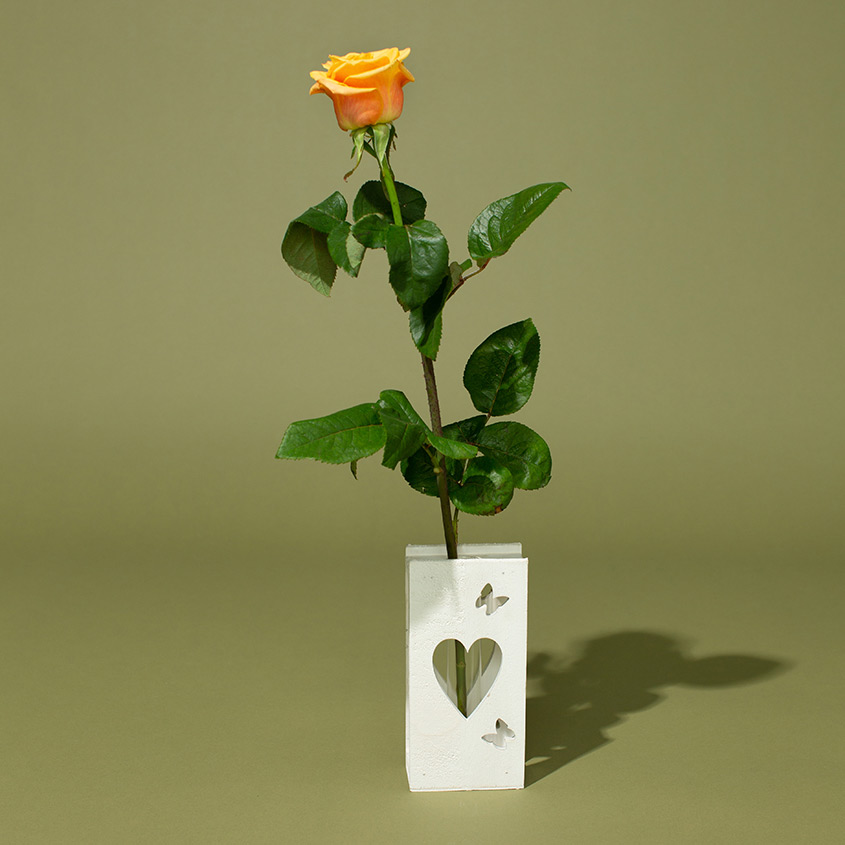 

LetuFlowers Луч