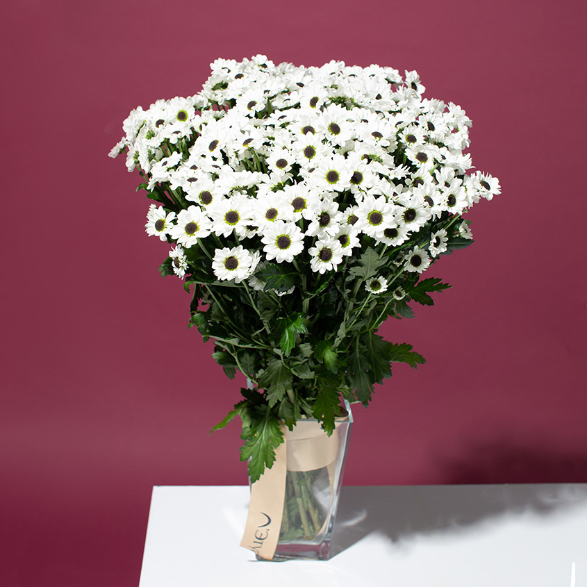 

LetuFlowers Эверест