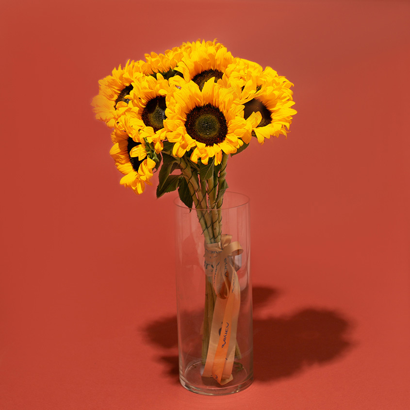 

LetuFlowers Колорит