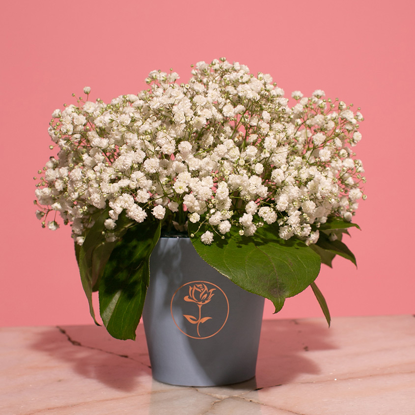 

LetuFlowers Облако