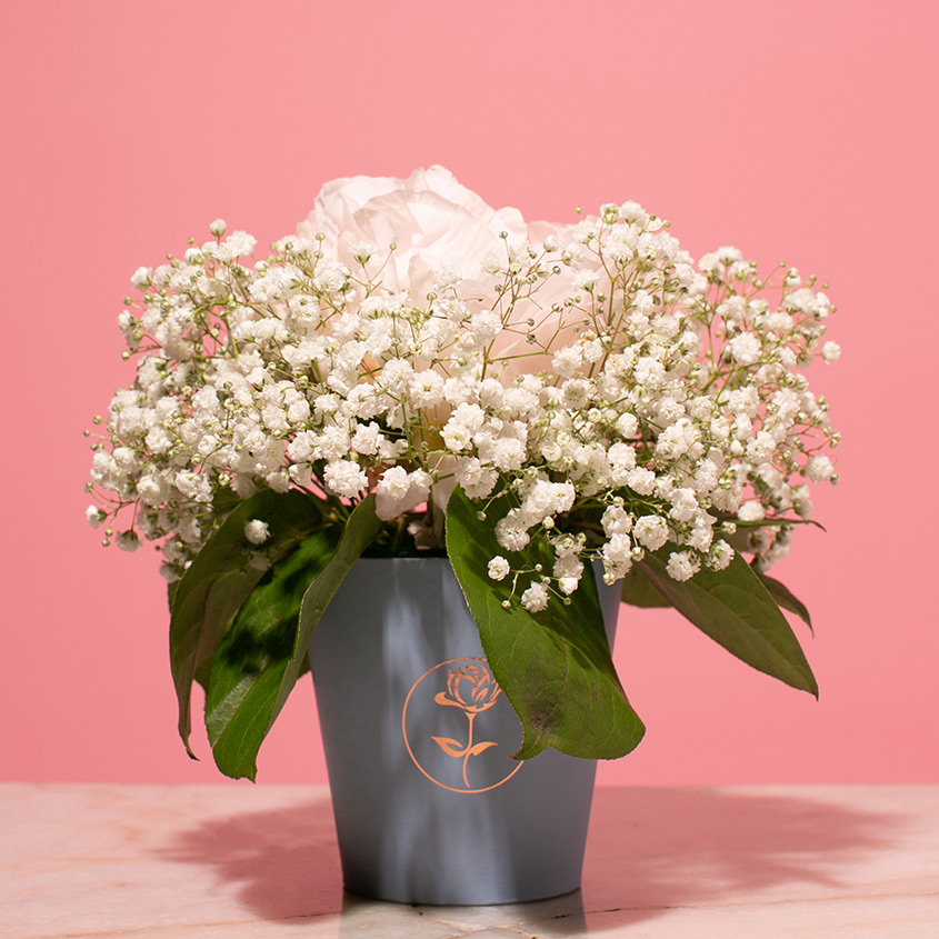 LetuFlowers Сливочное мороженое