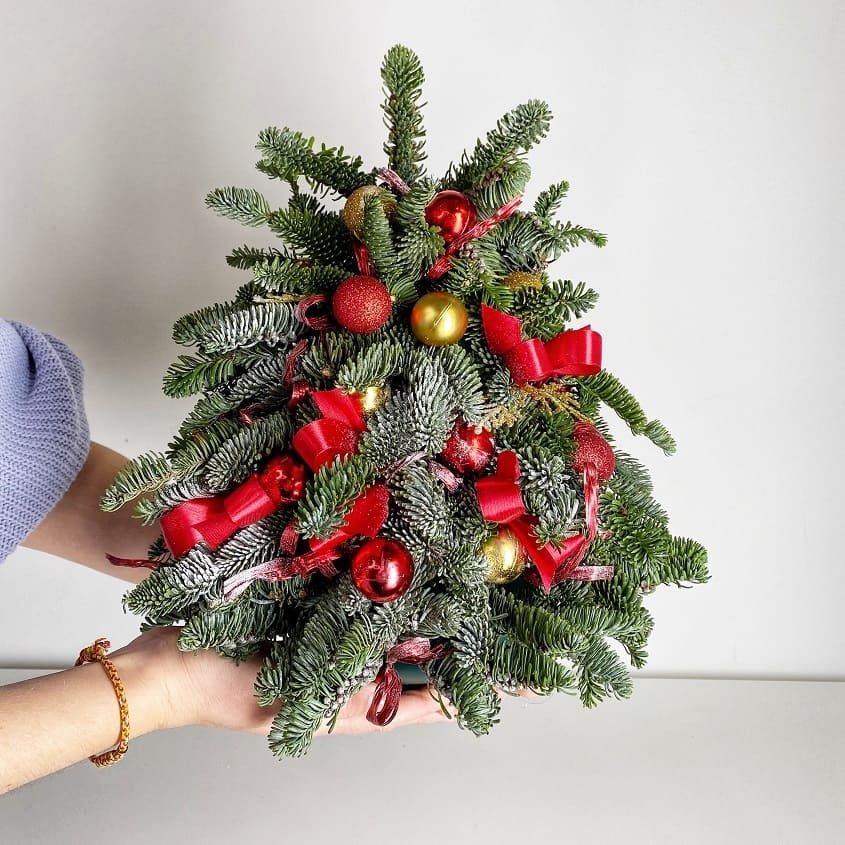 

LetuFlowers Рождественская звезда