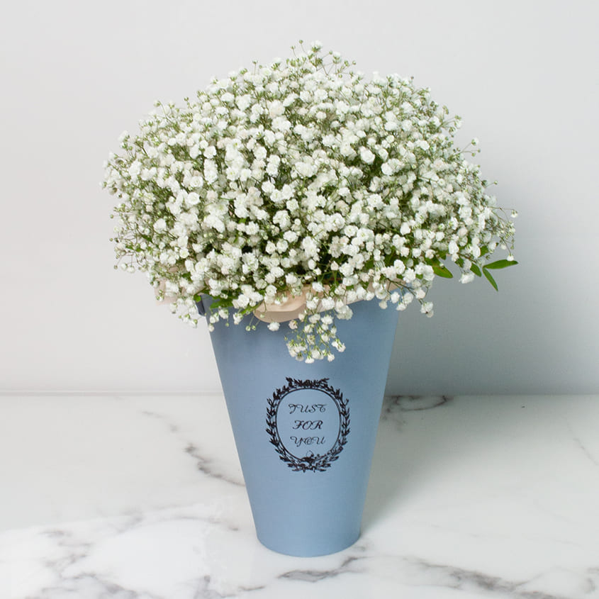 

LetuFlowers Зефирка