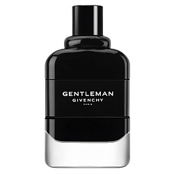 GIVENCHY Gentleman Givenchy Eau de Parfum Парфюмерная вода, спрей 100 мл сумка givenchy fc150411 hk 15 pervert