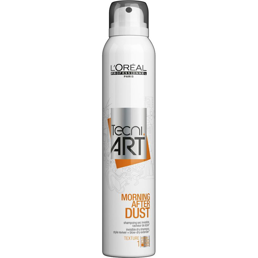 

L'OREAL PROFESSIONNEL Сухой шампунь TECNI.ART Morning after dust