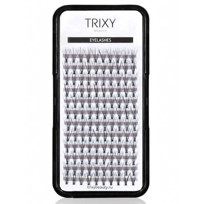 

TRIXY BEAUTY Ресницы-пучки Smart (0.10мм, 10мм)