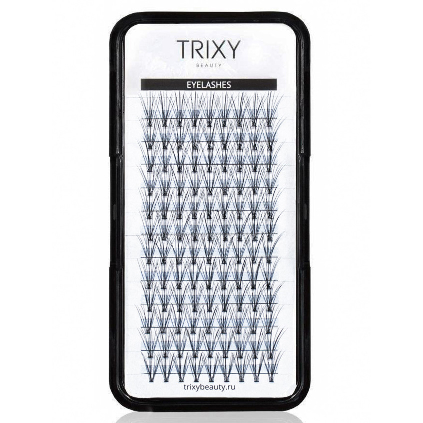 

TRIXY BEAUTY Ресницы-пучки Smart (0.10мм, 12мм)