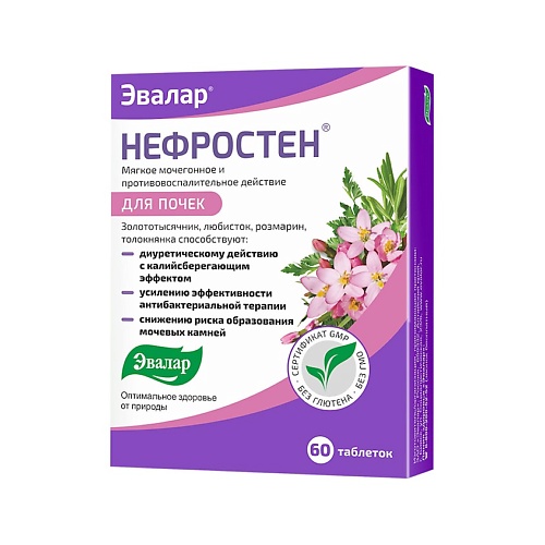 

АПТЕКА Нефростен таб. п.п.о. 250мг N60, Нефростен таб. п.п.о. 250мг N60