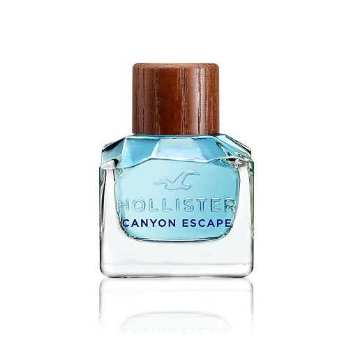 HOLLISTER Canyon Escape for Him