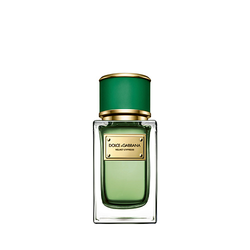 

DOLCE&GABBANA Velvet Collection Cypress