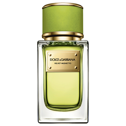

DOLCE&GABBANA Velvet Collection Mughetto 50, Velvet Collection Mughetto