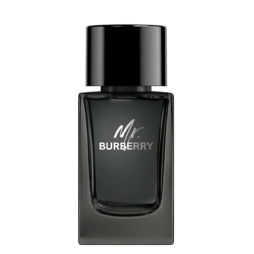 BURBERRY Mr. Burberry Eau de Parfum 100