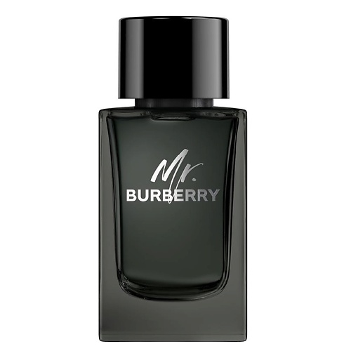 BURBERRY Mr. Burberry Eau de Parfum