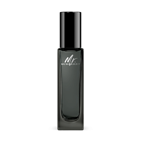burberry mr burberry cologne