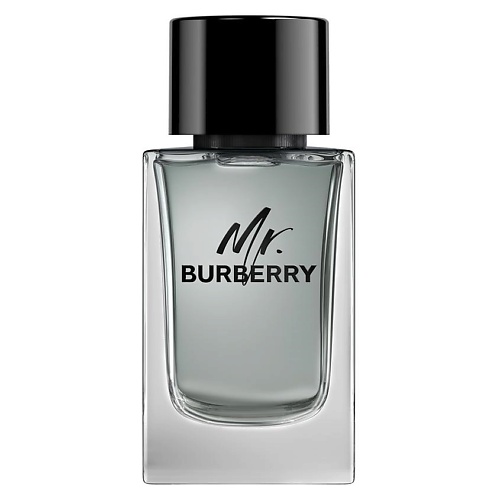 BURBERRY Mr. Burberry 150