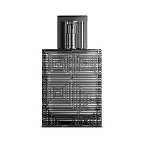 BURBERRY Brit Rhythm for Men