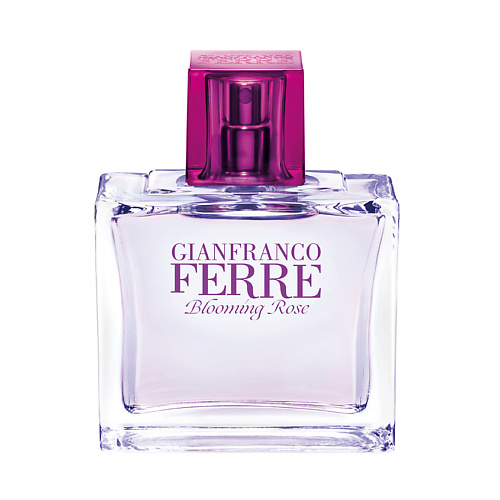 

FERRE Blooming Rose