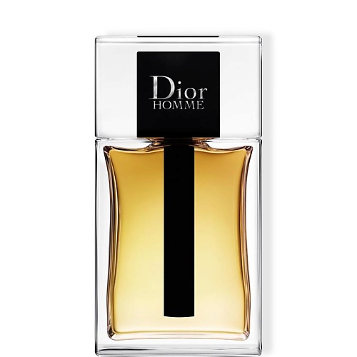 Мужская парфюмерия DIOR Homme 100