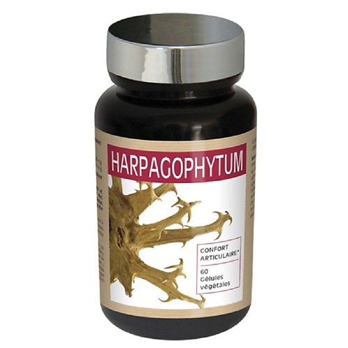 NUTRI EXPERT Природный анальгетик Корень чертова когтя (Гарпагофитум) 432 мг