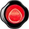 

SHISEIDO Губная помада Perfect Rouge